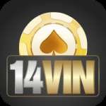 14vin Live Casino Pro